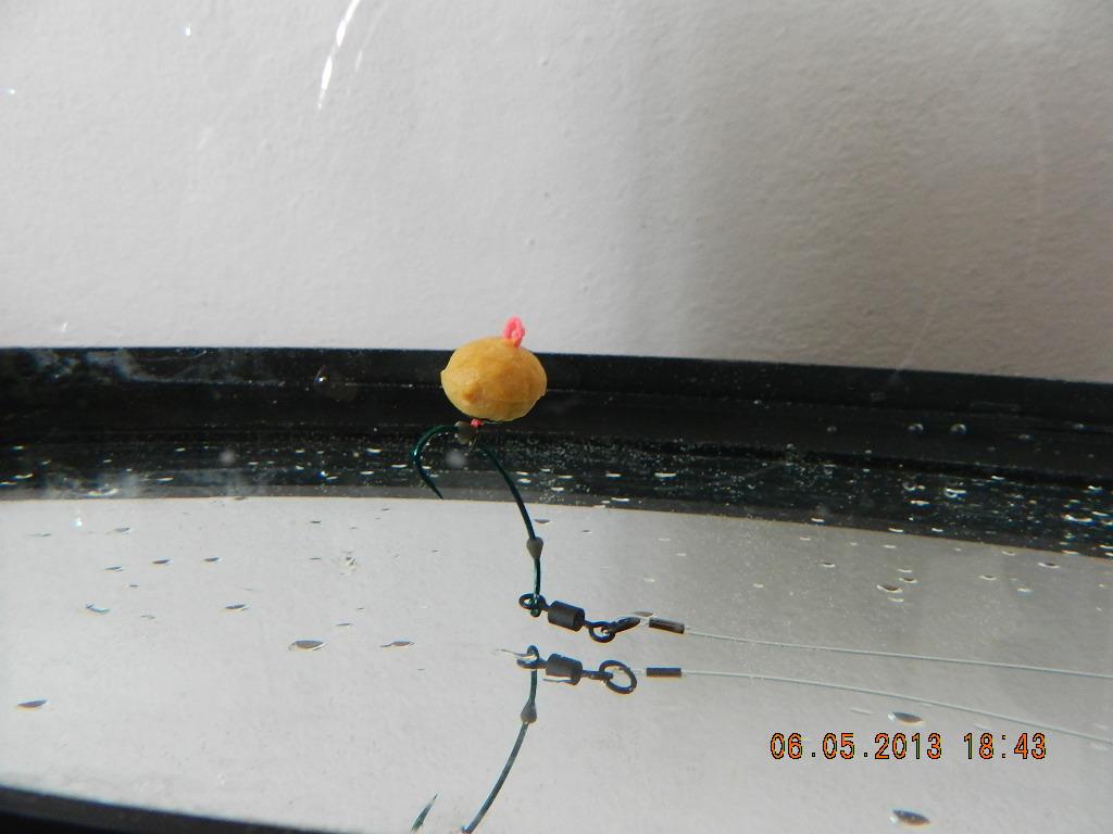 rig& baits !! - dscn1349.JPG